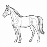 malowanka koń do druku