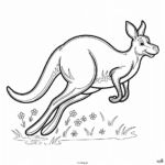 skaczący kangur australijski